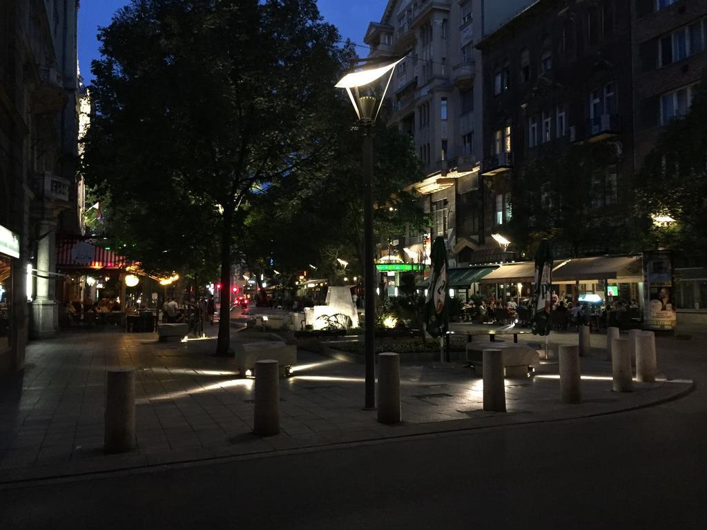 Apartment Near Opera In Downtown Budapest Esterno foto